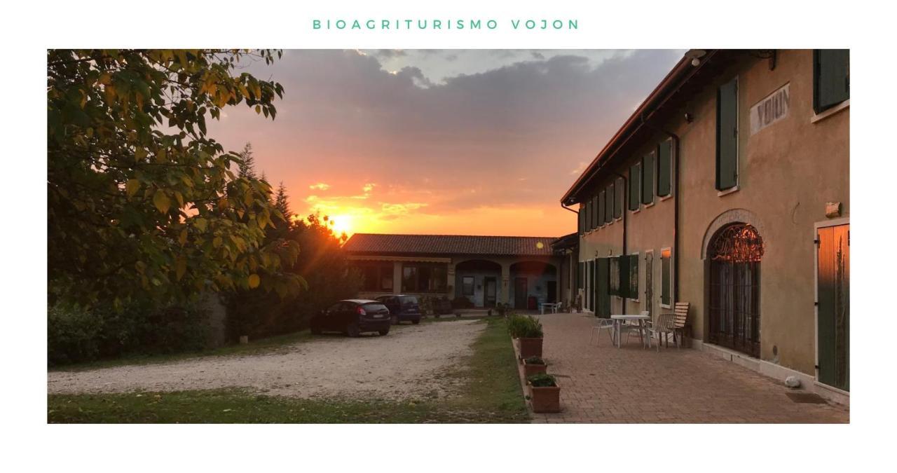 Bio Agriturismo Vojon Villa Ponti sul Mincio Exterior foto